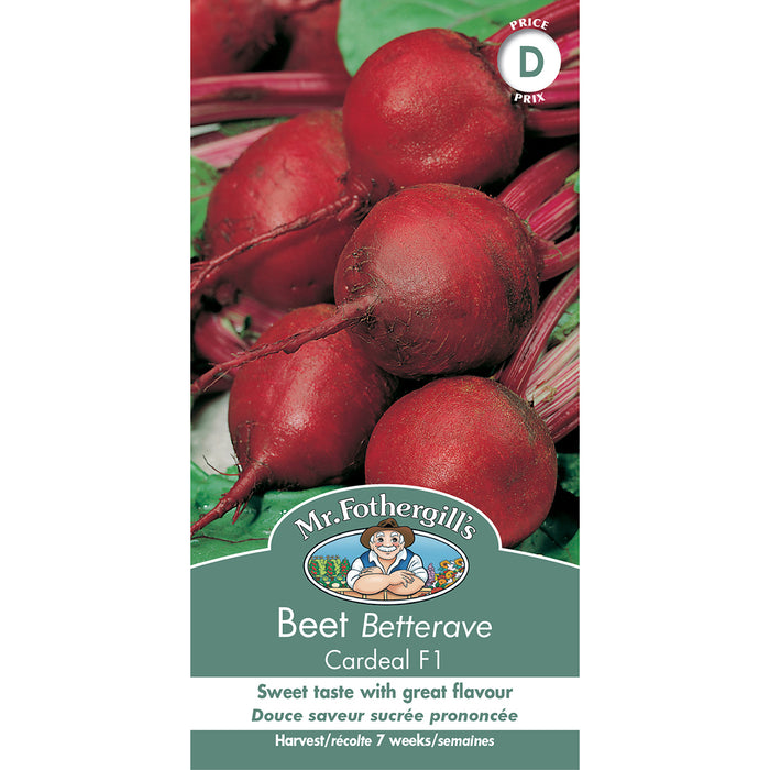 SEMENCES DE LEGUMES: BETTERAVE - CARDEAL F1
