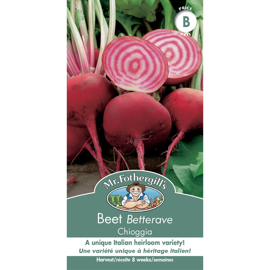 SEMENCES DE LEGUMES: BETTERAVE - CHIOGGIA
