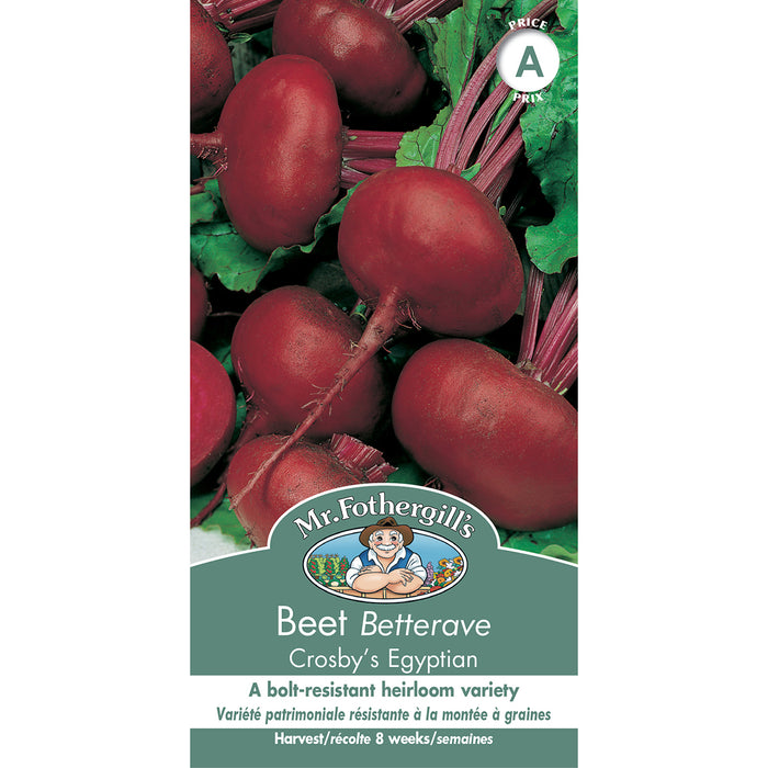 SEMENCES DE LEGUMES: BETTERAVE - CROSBY`S EGYPTIAN