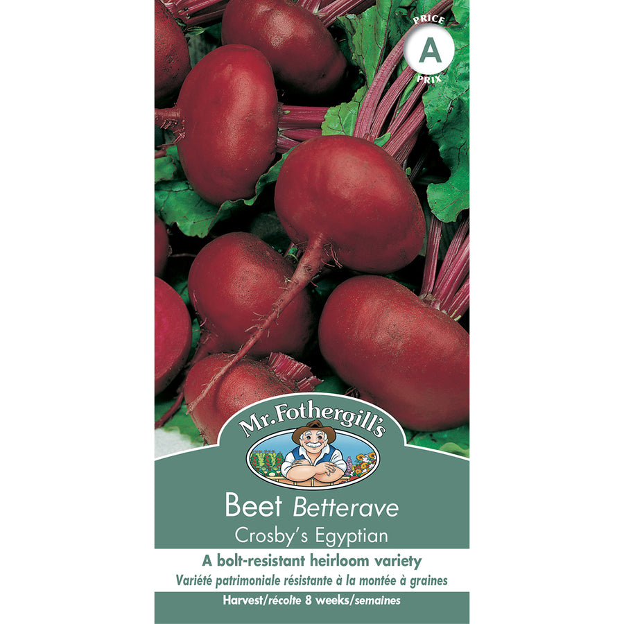 SEMENCES DE LEGUMES: BETTERAVE - CROSBY`S EGYPTIAN