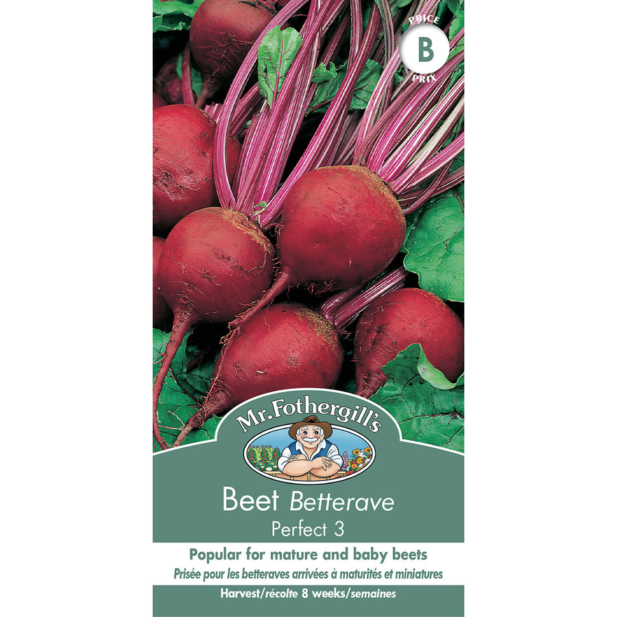 SEMENCES DE LEGUMES: BETTERAVE - PERFECT 3