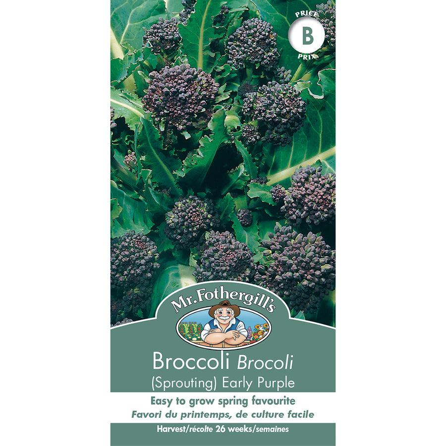 SEMENCES DE LEGUMES: BROCOLI - EARLY PURPLE SPROUTING