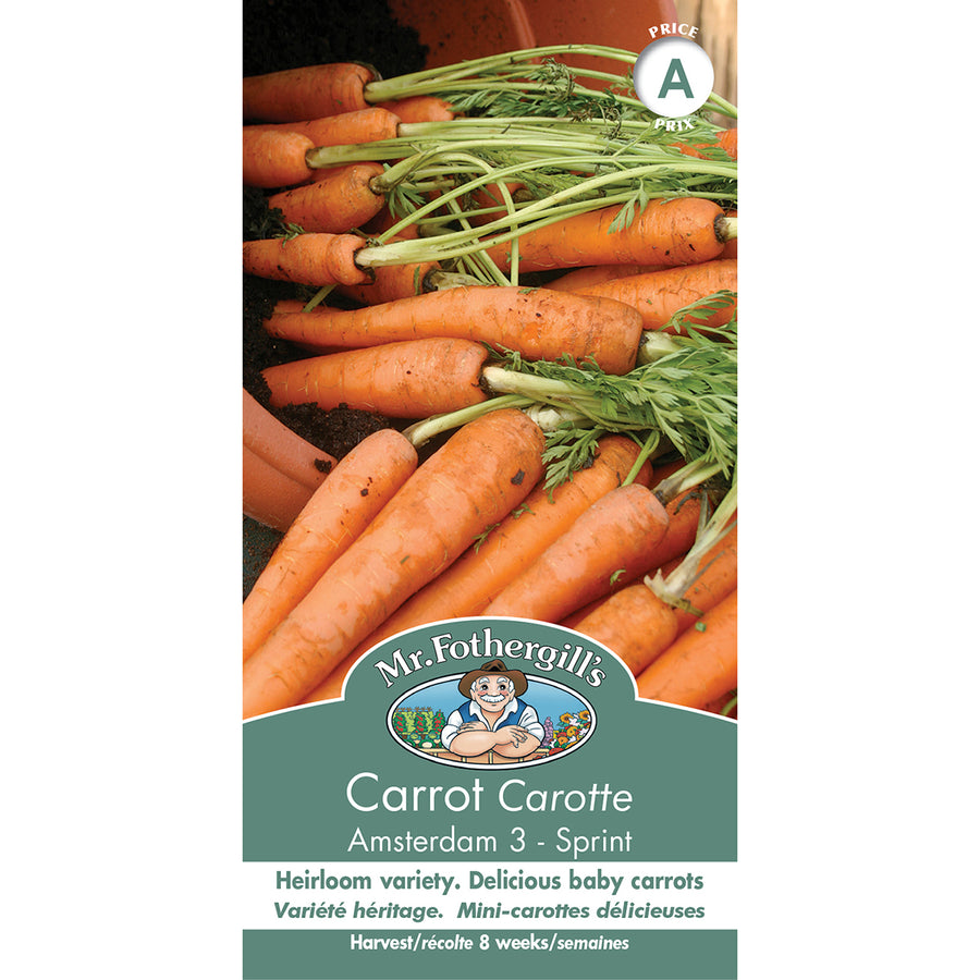 SEMENCES DE LEGUMES: CAROTTE - AMSTERDAM 3 SPRINT