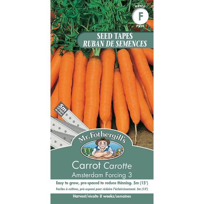 SEMENCES DE LEGUMES: CAROTTE - AMSTERDAM FORCING 3 - RUBAN