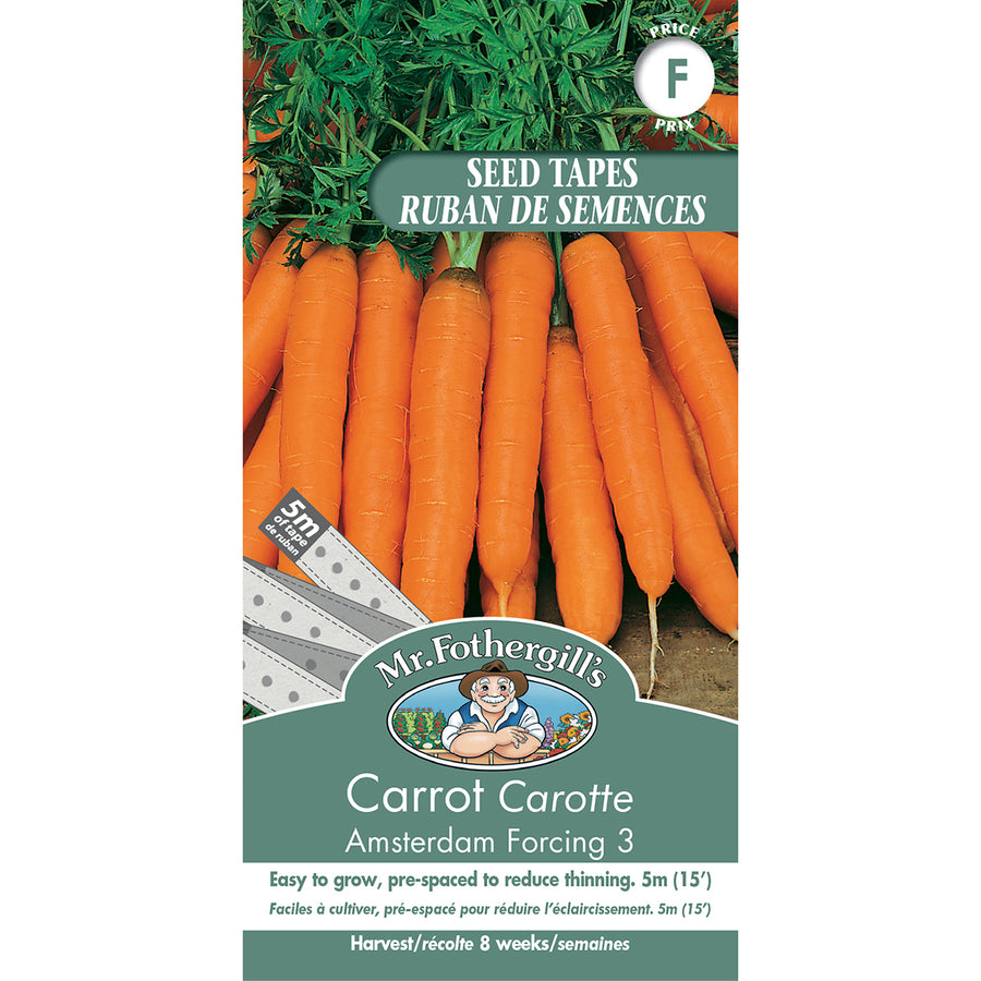 SEMENCES DE LEGUMES: CAROTTE - AMSTERDAM FORCING 3 - RUBAN