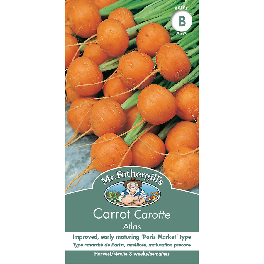 SEMENCES DE LEGUMES: CAROTTE - ATLAS