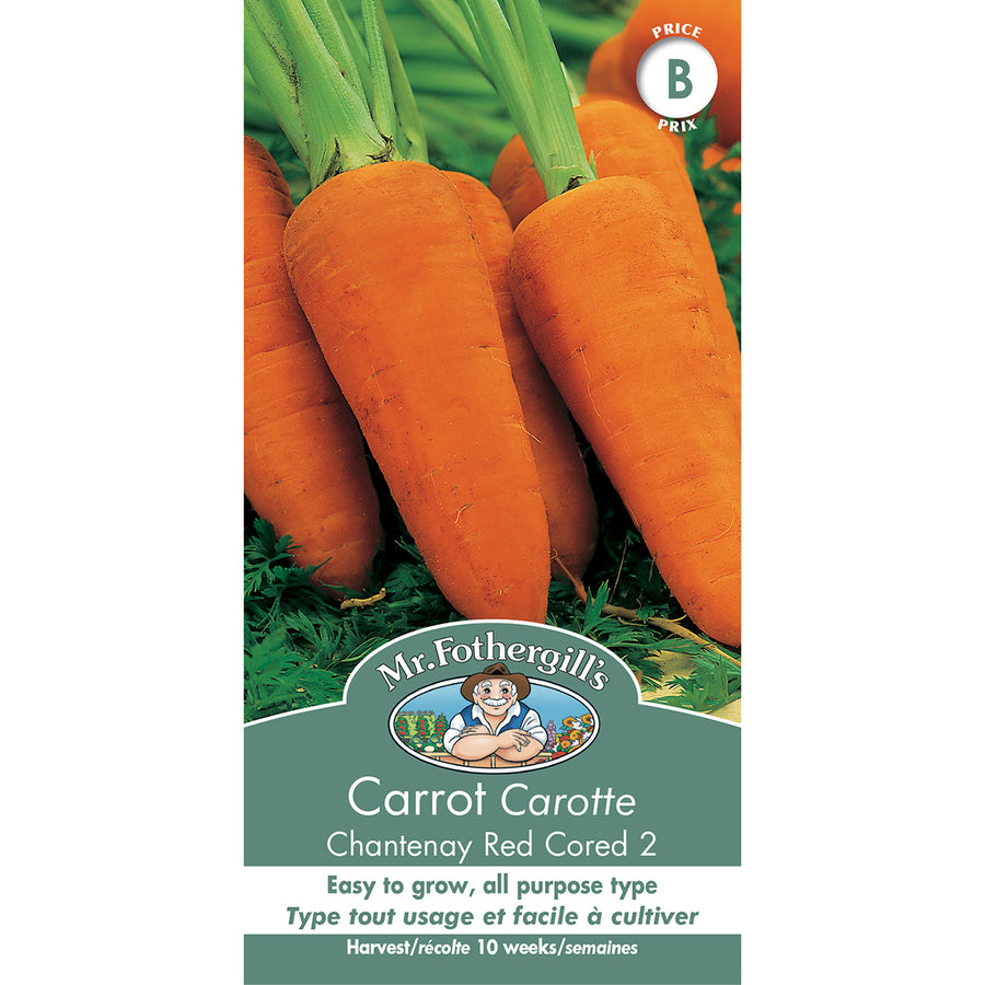 SEMENCES DE LEGUMES: CAROTTE - CHANTENAY RED CORED 2