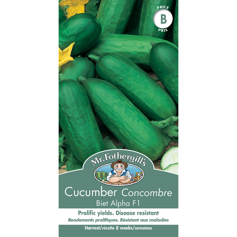 SEMENCES DE LEGUMES: CONCOMBRE - BIET ALPHA F1