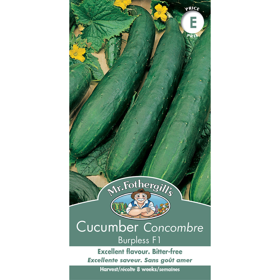 SEMENCES DE LEGUMES: CONCOMBRE - BURPLESS F1