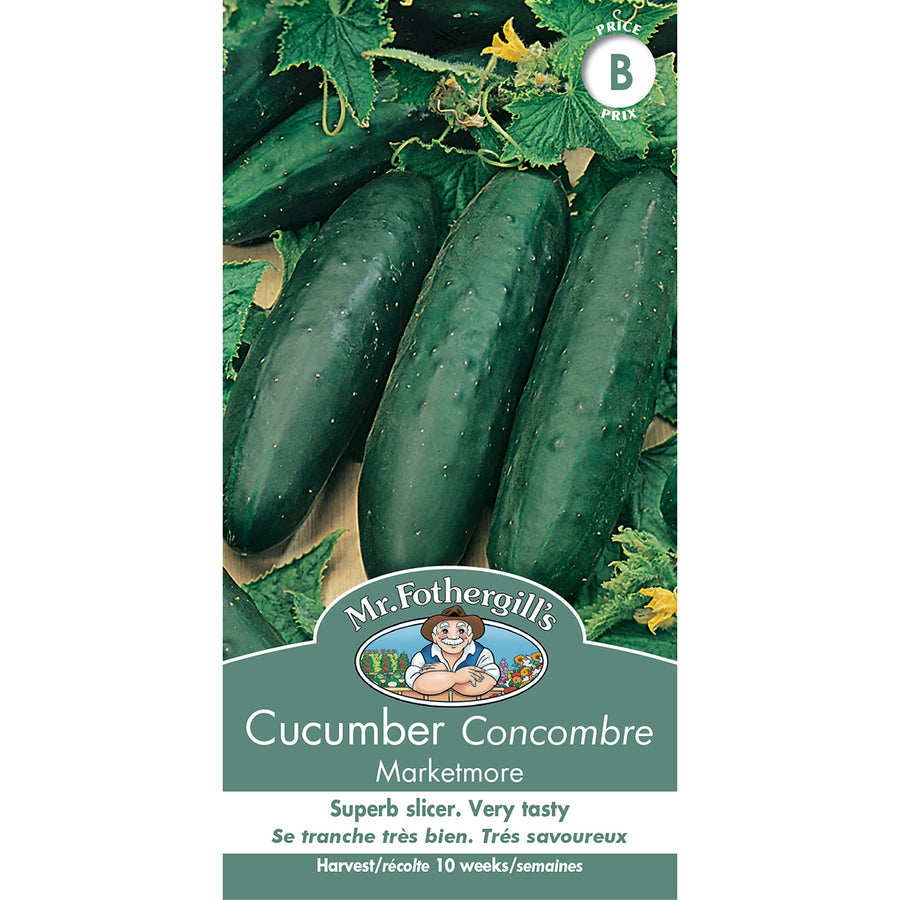 SEMENCES DE LEGUMES: CONCOMBRE - MARKETMORE