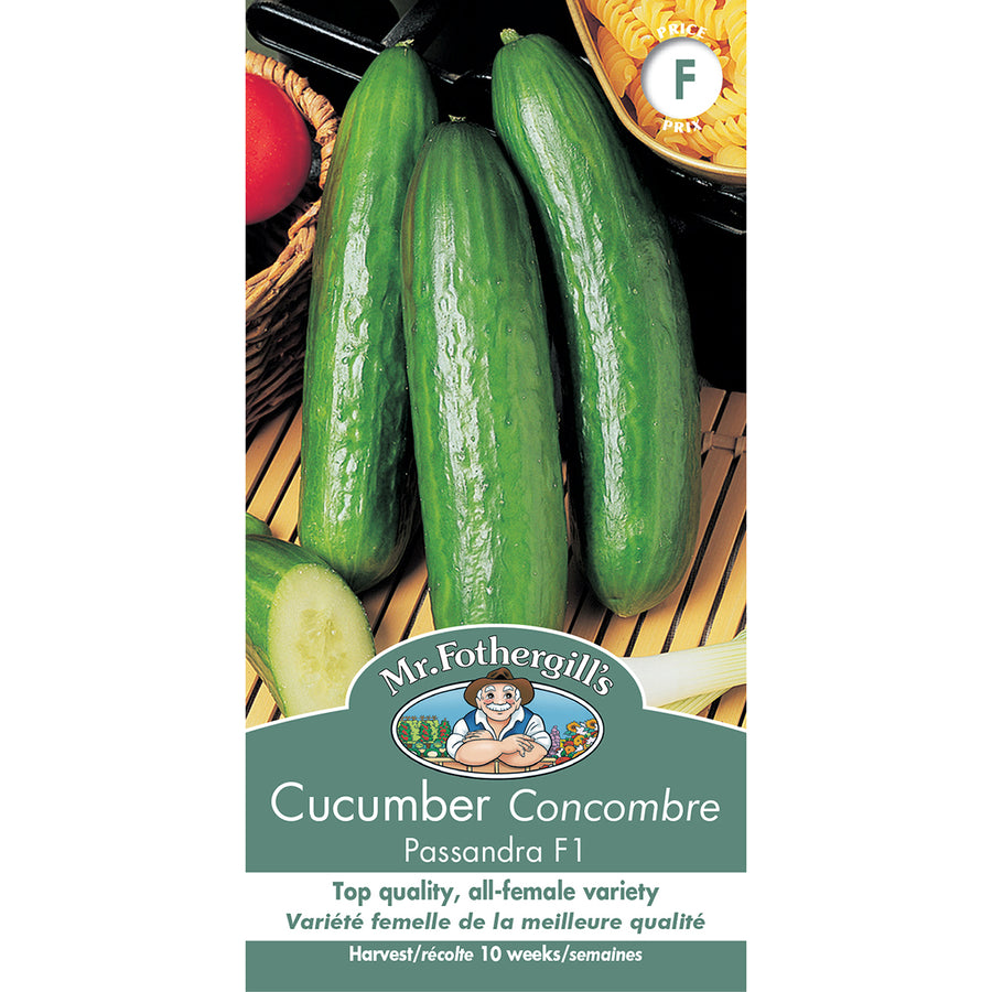 SEMENCES DE LEGUMES: CONCOMBRE - PASSANDRA F1
