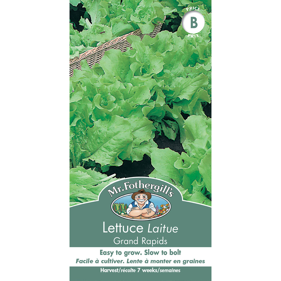 SEMENCES DE LEGUMES: LAITUE - GRAND RAPIDS