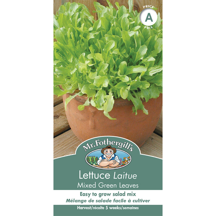 SEMENCES DE LEGUMES: LAITUE - MIXED GREEN LEAVES