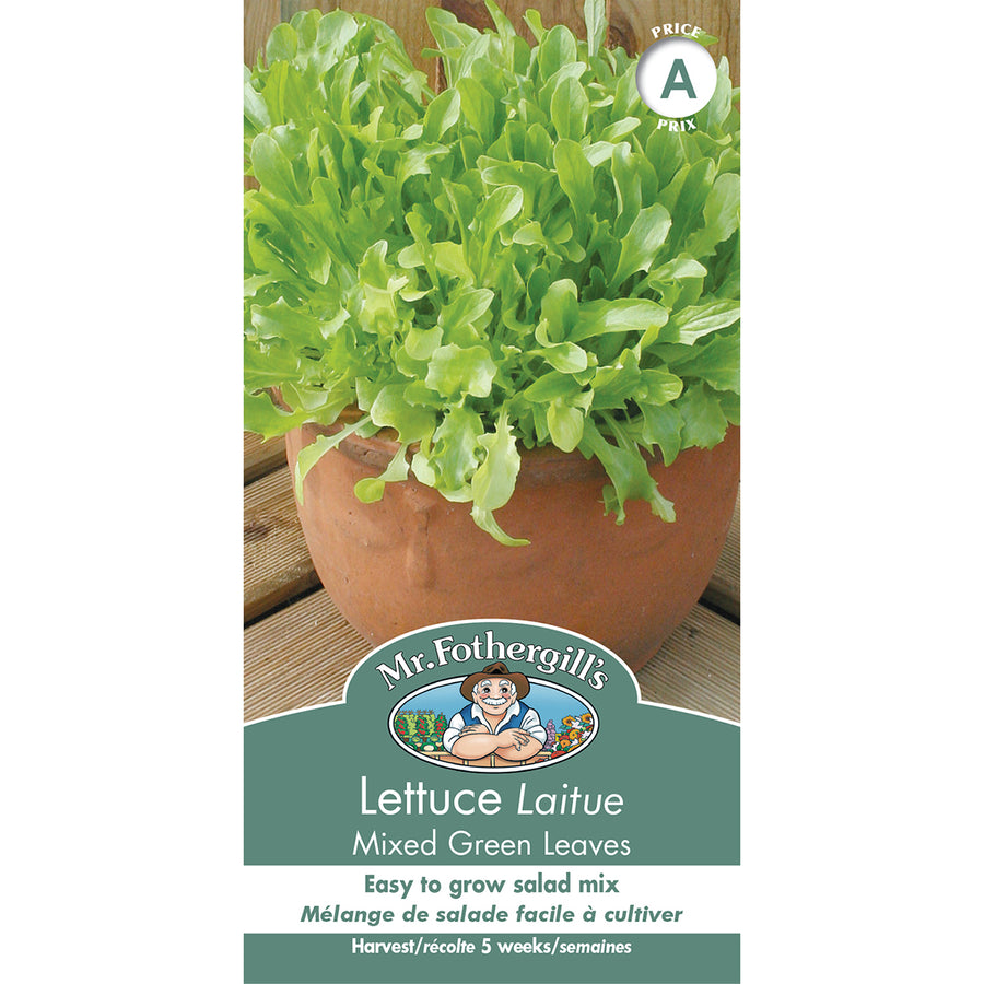 SEMENCES DE LEGUMES: LAITUE - MIXED GREEN LEAVES