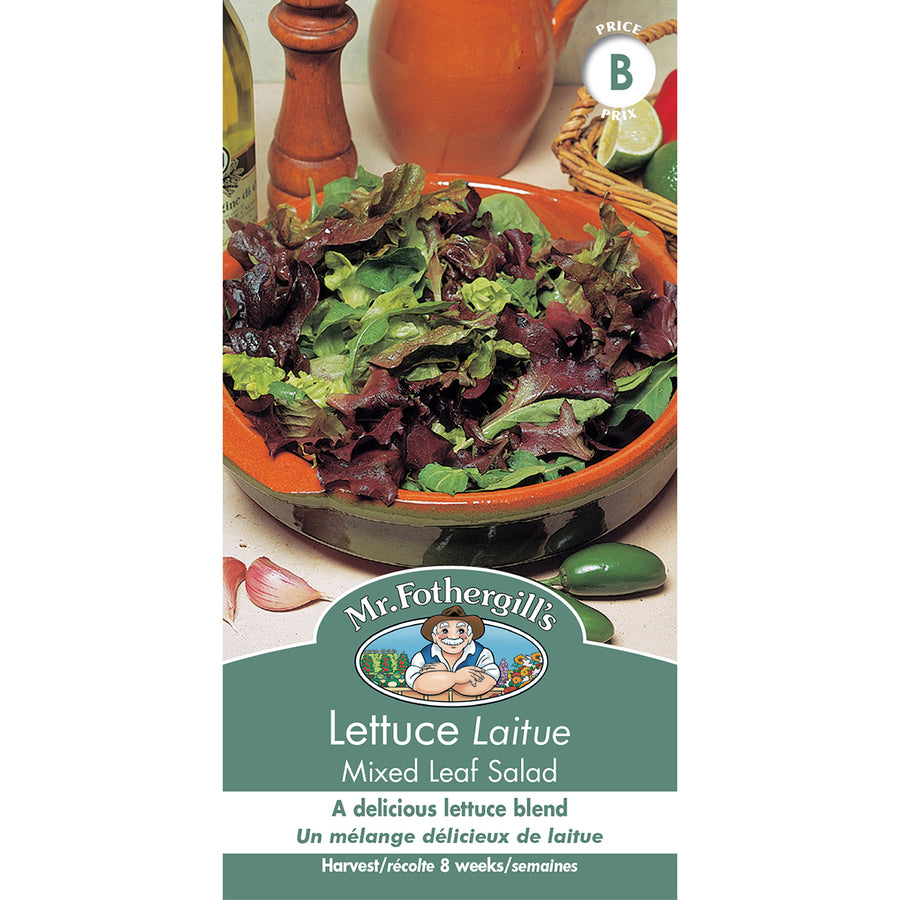 SEMENCES DE LEGUMES: LAITUE - MELANGE