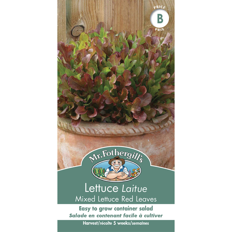 SEMENCES DE LEGUMES: LAITUE - RED LEAVES MIXED
