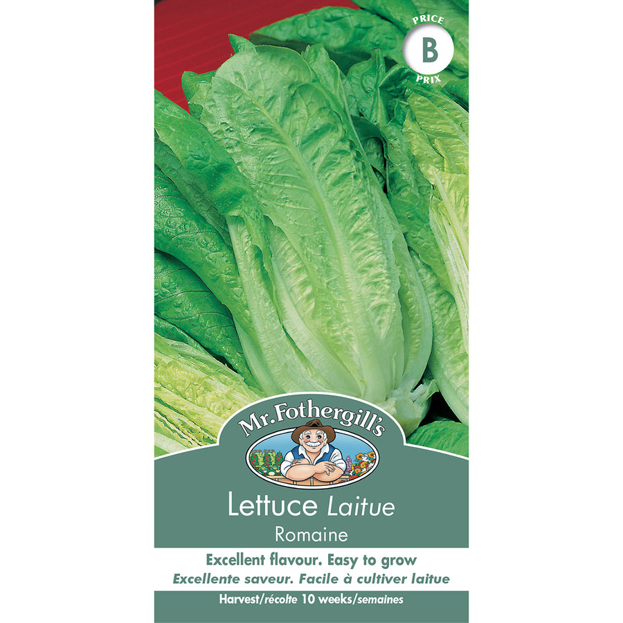 SEMENCES DE LEGUMES: LAITUE - ROMAINE