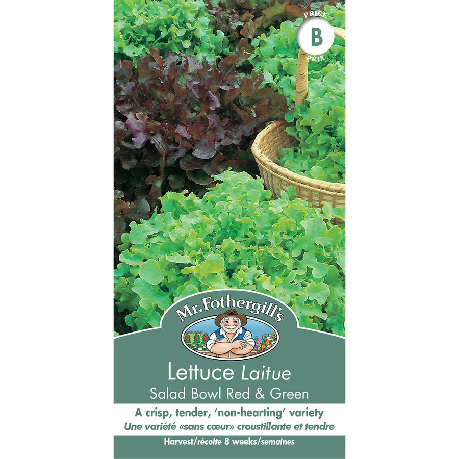 VEGETABLE SEEDS: LETTUCE - SALAD BOWL RED & GREEN