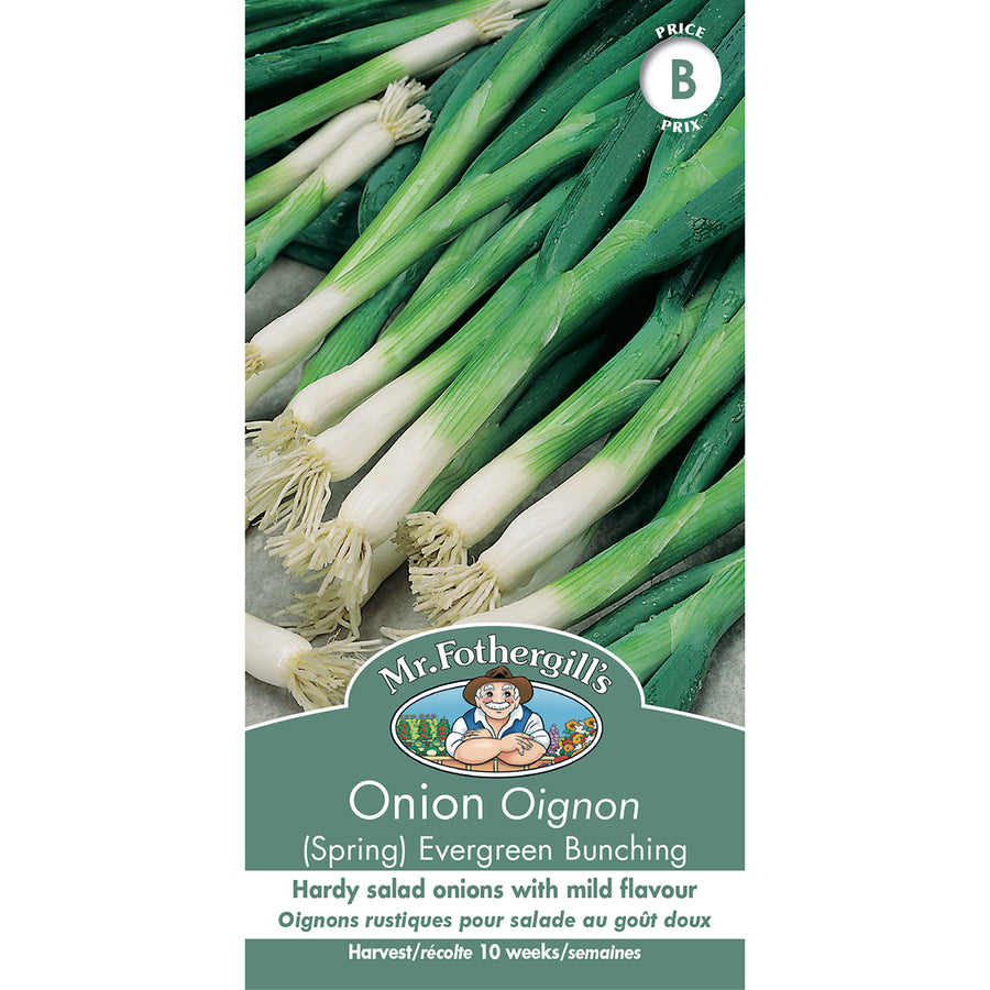 SEMENCES DE LEGUMES: OIGNON - EVERGREEN BUNCHING (SPRING)