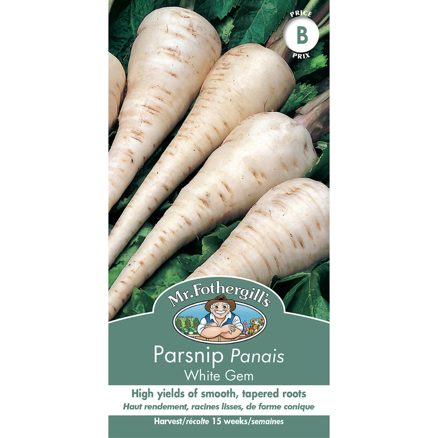 SEMENCES DE LEGUMES: PANAIS - WHITE GEM