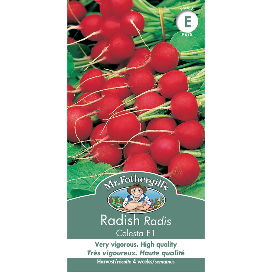 SEMENCES DE LEGUMES: RADIS - CELESTA F1
