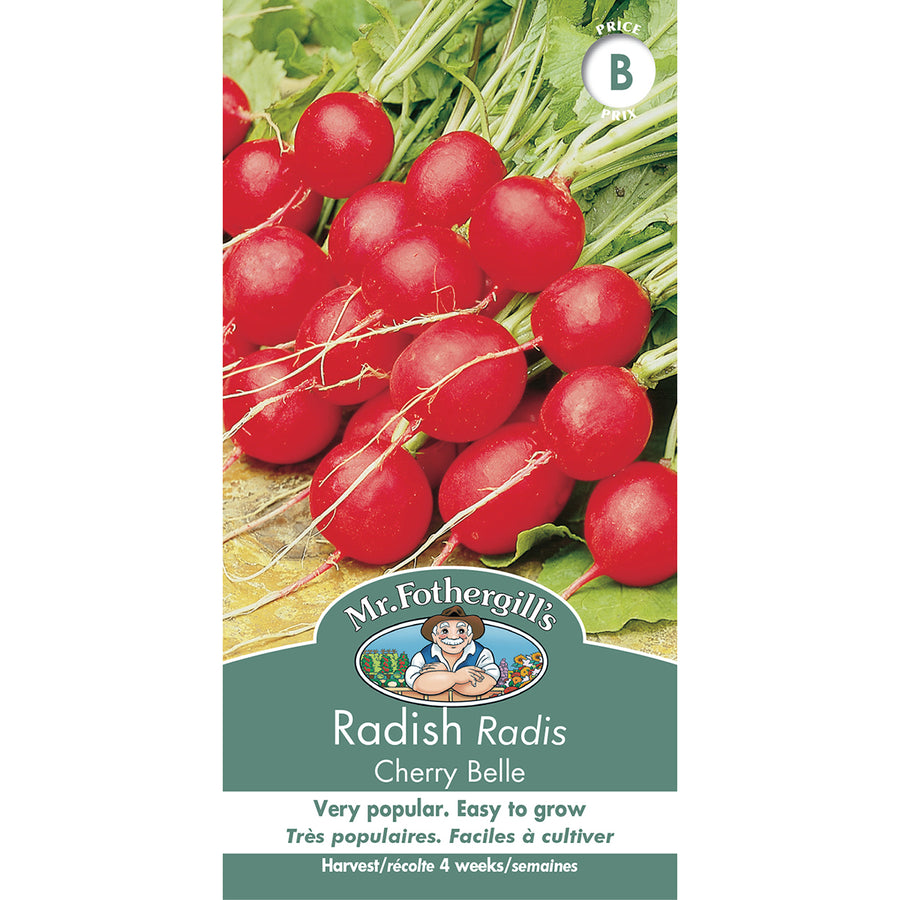 SEMENCES DE LEGUMES: RADIS - CHERRY BELLE