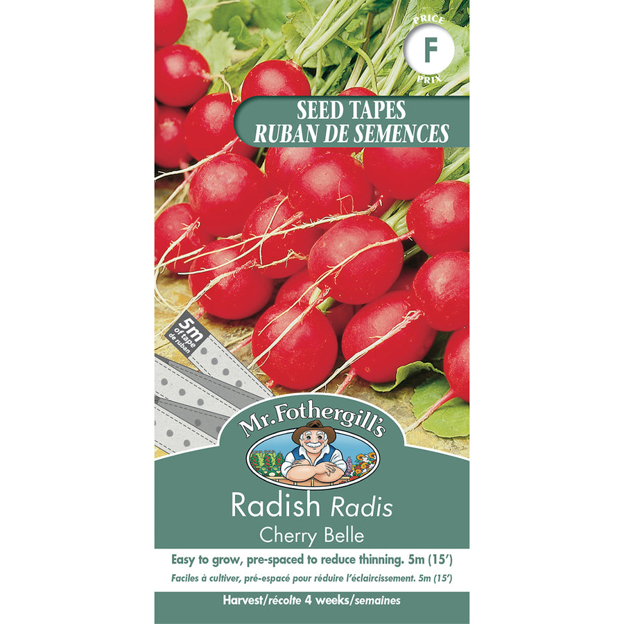 SEMENCES DE LEGUMES: RADIS - CHERRY BELLE RUBAN