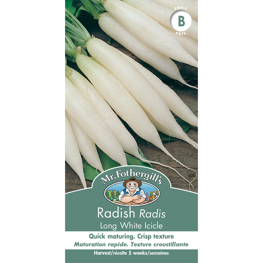 SEMENCES DE LEGUMES: RADIS - LONG WHITE ICICLE