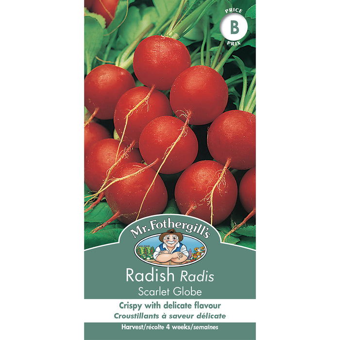 SEMENCES DE LEGUMES: RADIS - SCARLET GLOBE