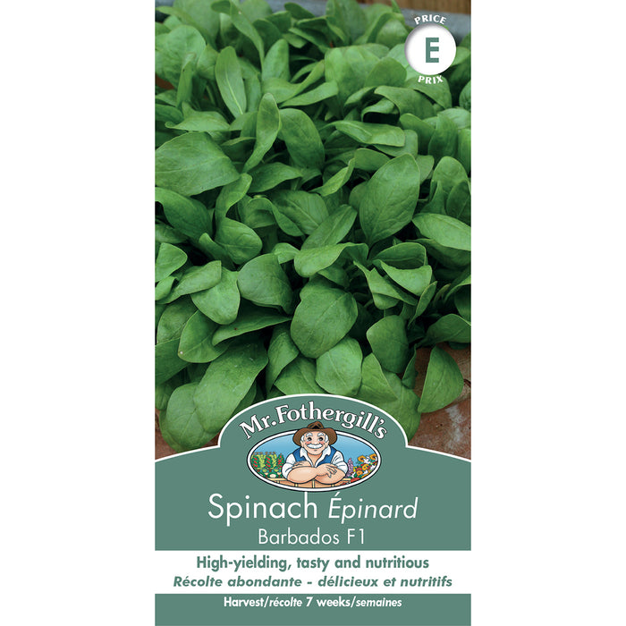 SEMENCES DE LEGUMES: ÉPINARD - BARBADOS F1