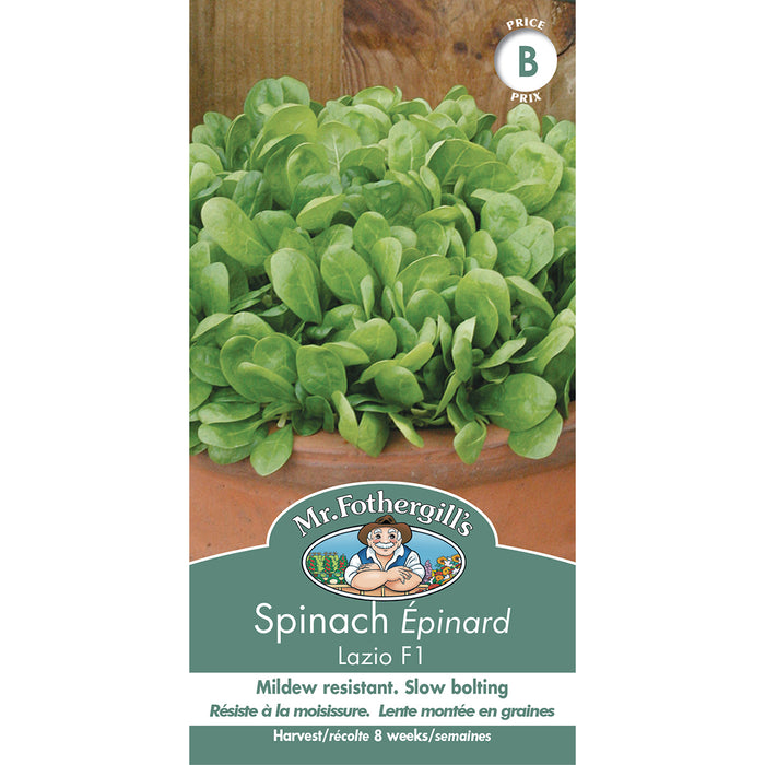 SEMENCES DE LEGUMES: ÉPINARD - LAZIO