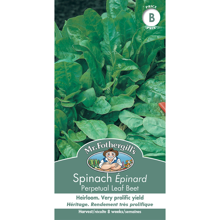 SEMENCES DE LEGUMES: ÉPINARD - PERPETUAL LEAF BEET