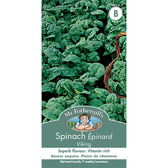 SEMENCES DE LEGUMES: ÉPINARD - VIKING