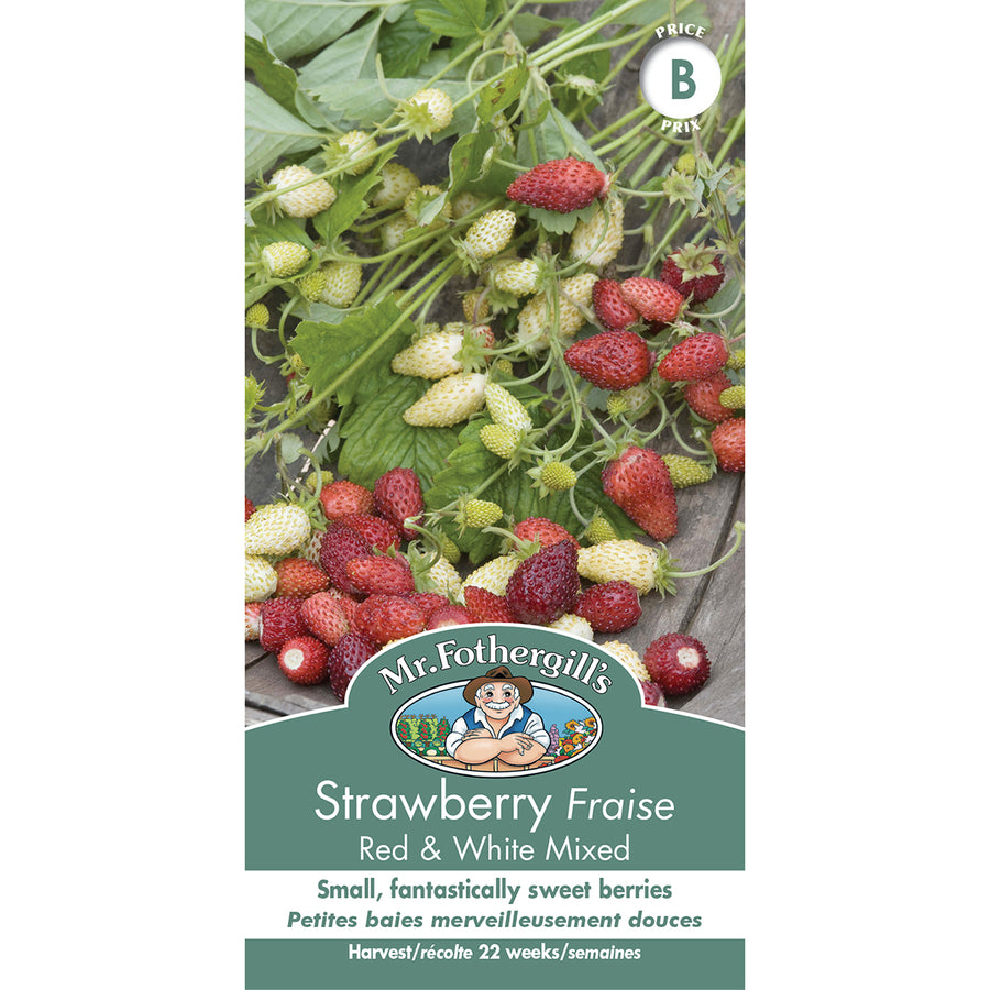 VEGETABLE SEEDS: STRAWBERRY - RED & WHITE MIX