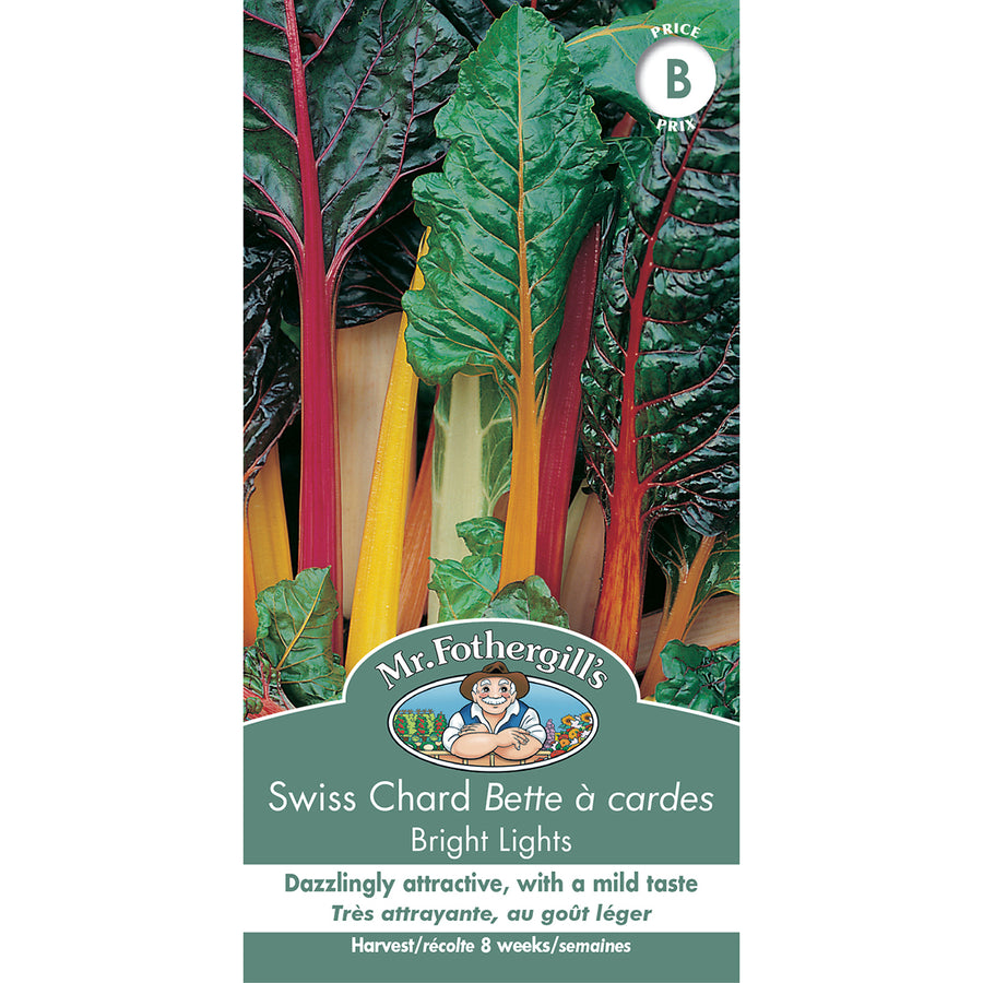 SEMENCES DE LEGUMES: BETTE A CARDES - BRIGHT LIGHTS