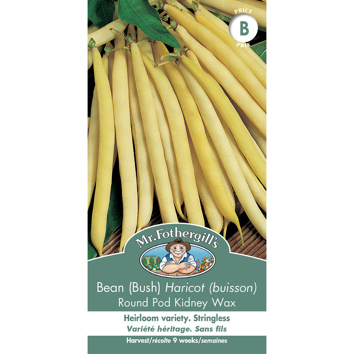 SEMENCES DE LEGUMES: HARICOT (BUISSON) - ROUND POD KIDNEY WAX