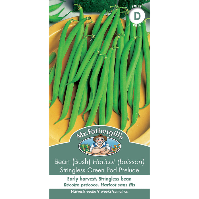 SEMENCES DE LEGUMES: HARICOT (BUISSON) - STRINGLESS GREEN POD PRELUDE