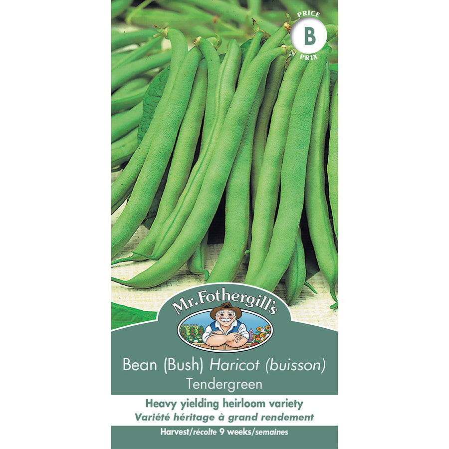 SEMENCES DE LEGUMES: HARICOT (BUISSON) - TENDERGREEN