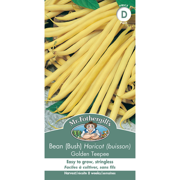 SEMENCES DE LEGUMES: HARICOT (BUISSON) - GOLDEN TEEPEE
