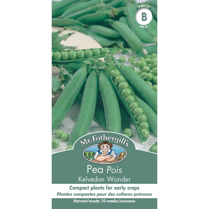 SEMENCES DE LEGUMES: POIS - KELVEDON WONDER