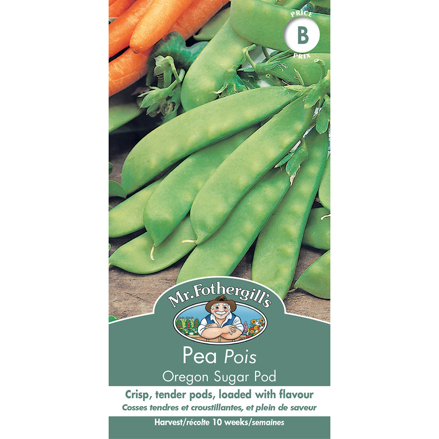 SEMENCES DE LEGUMES: POIS - OREGON SUGAR POD