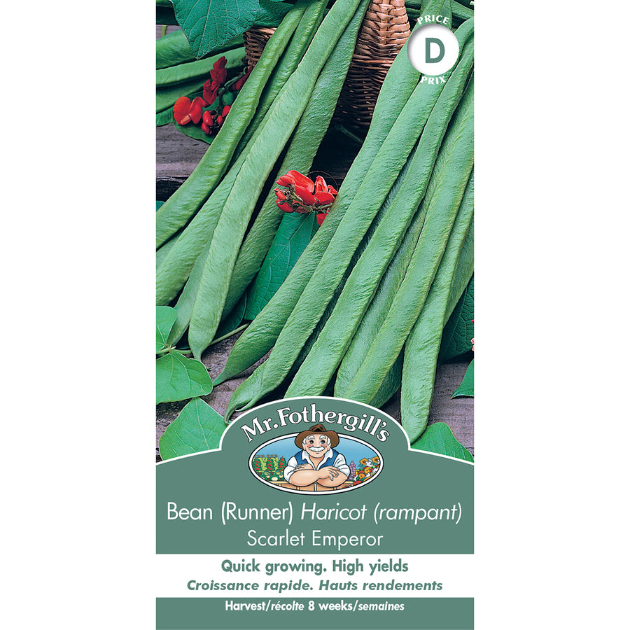 SEMENCES DE LEGUMES: HARICOT (RAMPANT) - SCARLET EMPEROR