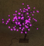 LUMIÈRES FLORALES - BONSAI - INTÉRIEUR/EXTÉRIEUR ROSE