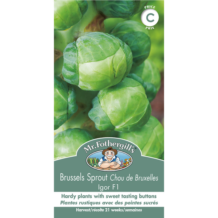 SEMENCES DE LEGUMES: CHOU DE BRUXELLES - IGOR
