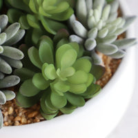 FAUX SUCCULENT SET IN WHITE LOW POT INTERIOR DECORATION