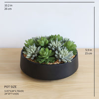 SUPERB ARTIFICIAL SUCCULENT ARRANGEMENT IN DECORATIVE BLACK INDOOR POT