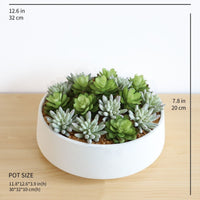 FAUX SUCCULENT SET IN WHITE LOW POT INTERIOR DECORATION