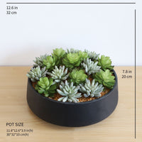 SUPERB ARTIFICIAL SUCCULENT ARRANGEMENT IN DECORATIVE BLACK INDOOR POT