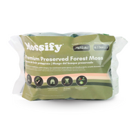 MOUSSE DE FORÊT STABILISÉE DE QUALITÉ SUPÉRIEURE