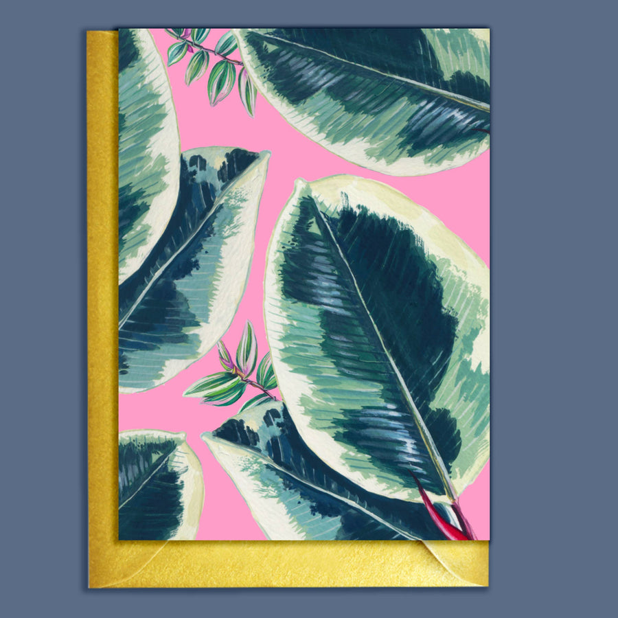 CARTE DE VOEUX - PLANTES D`INTERIEUR EN CAOUTCHOU
